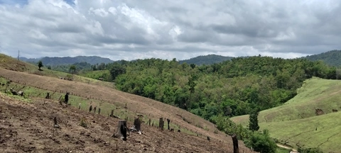 Thailand