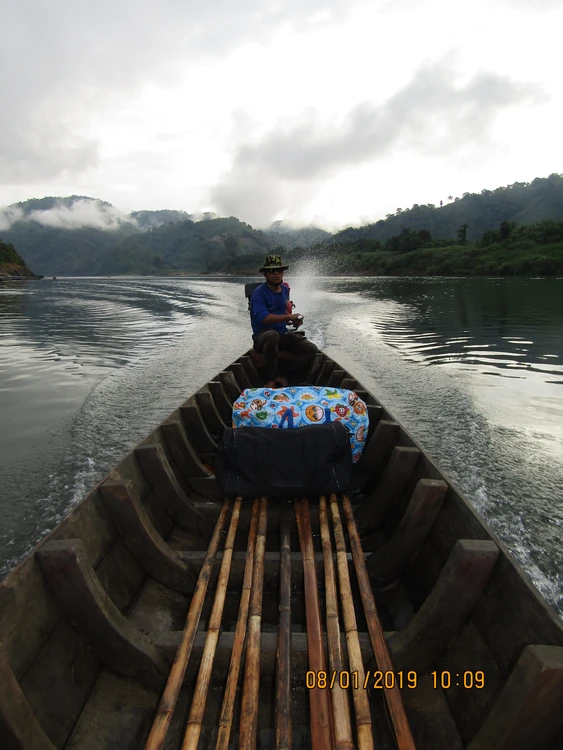 Ca palaung